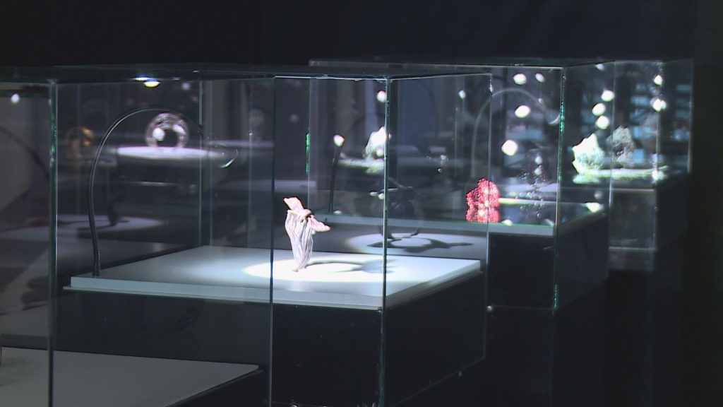 LEGNICA. Biżuteria na Festiwalu Srebra(WIDEO)