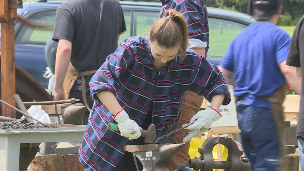 LEGNICA. Kowale w parku miejskim(WIDEO)