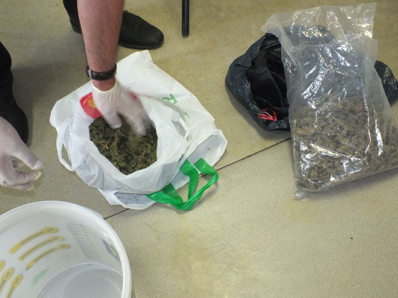 GŁOGÓW. Handlował amfetaminą i marihuaną (WIDEO)