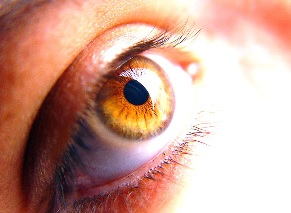 MŚCIWOJÓW. Oczy pod lupą specjalisty