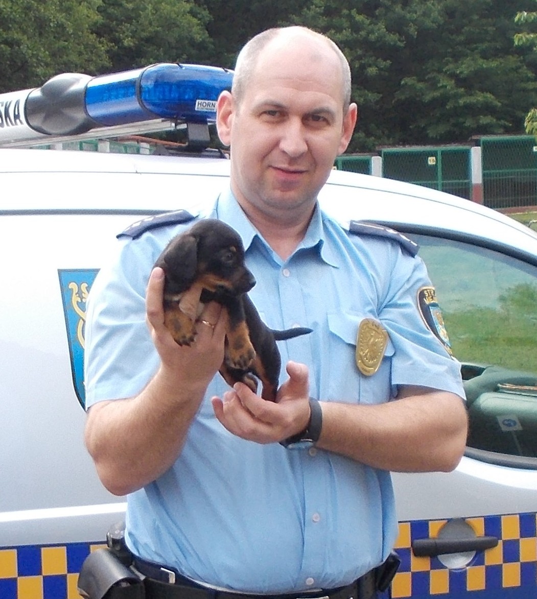 LEGNICA. Szczeniaka uratowali, kociąt już się nie udało