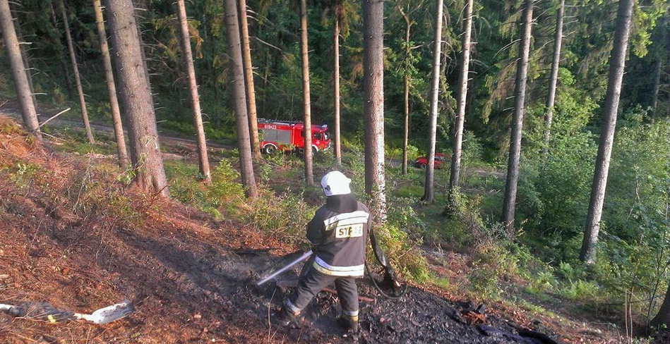 WOJCIESZÓW. Pożar w lesie