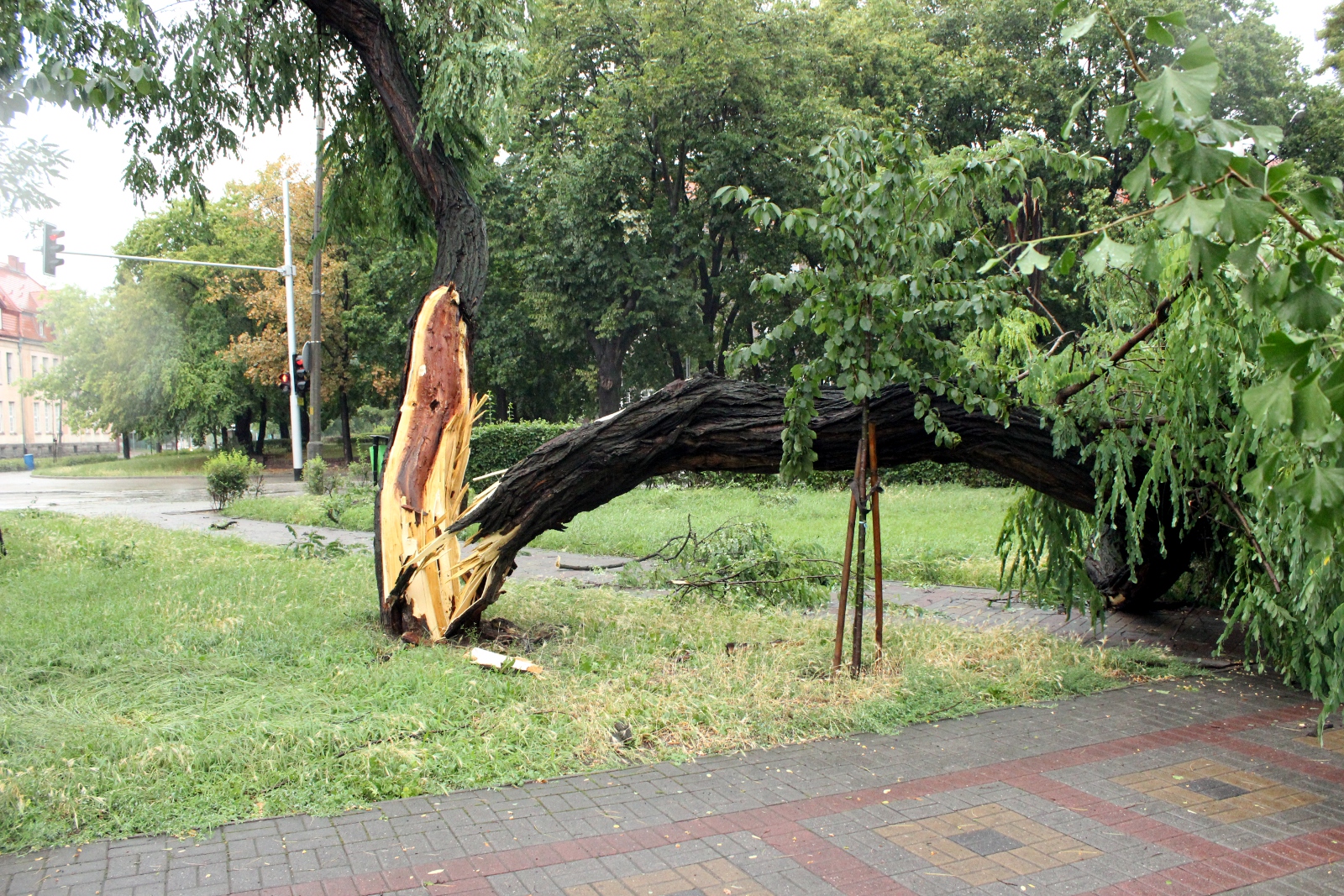 IMGW ostrzega: będą gwałtowne burze, miejscami z gradem!