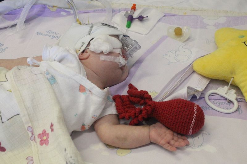 LEGNICA. Ośmiorniczki dla wcześniaków (WIDEO, FOTO)