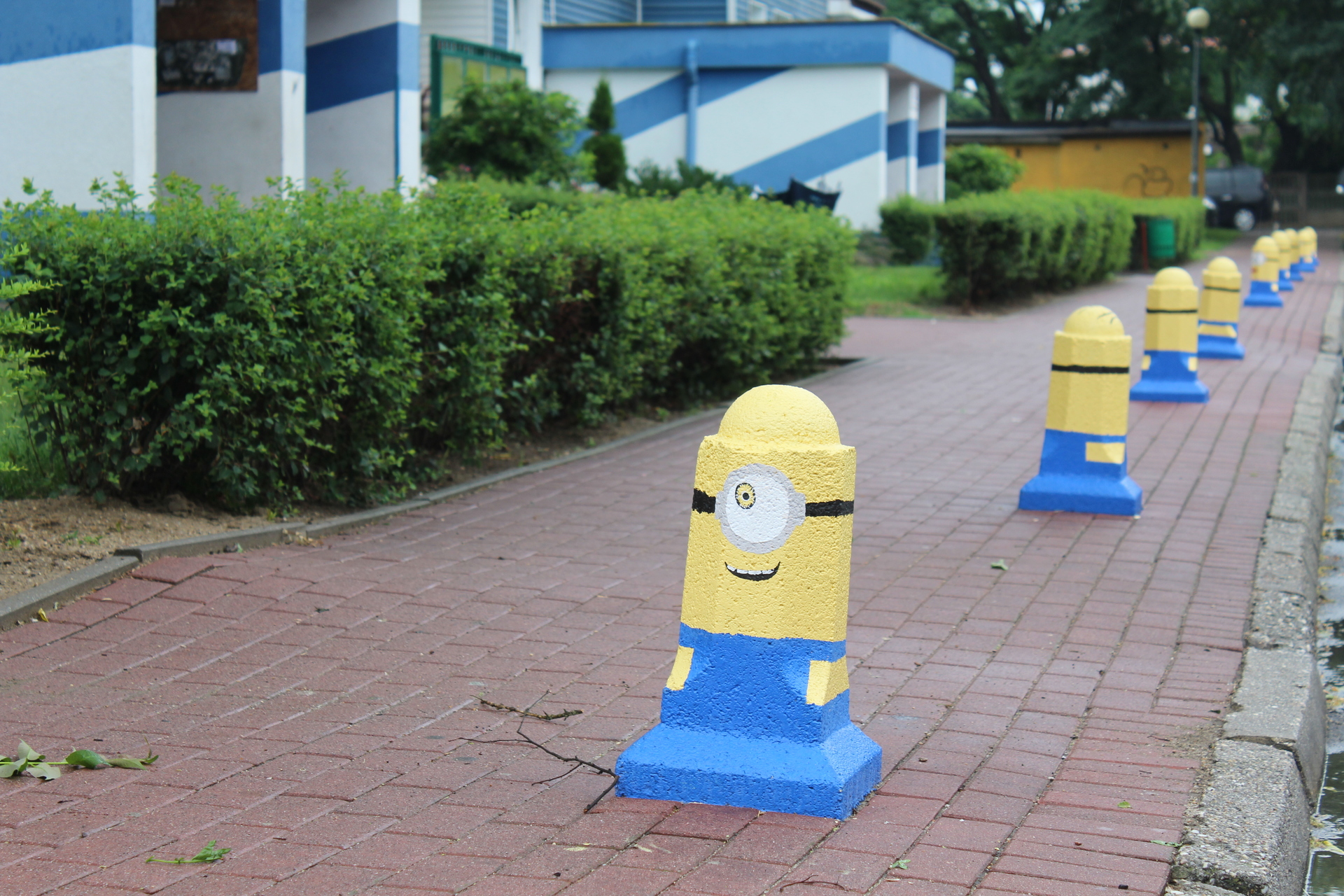 GŁOGÓW. Zrobił wszystkim niespodziankę (WIDEO)