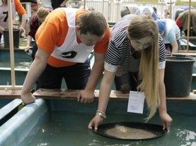 ZŁOTORYJA. Mistrzostwa w płukaniu złota za nami