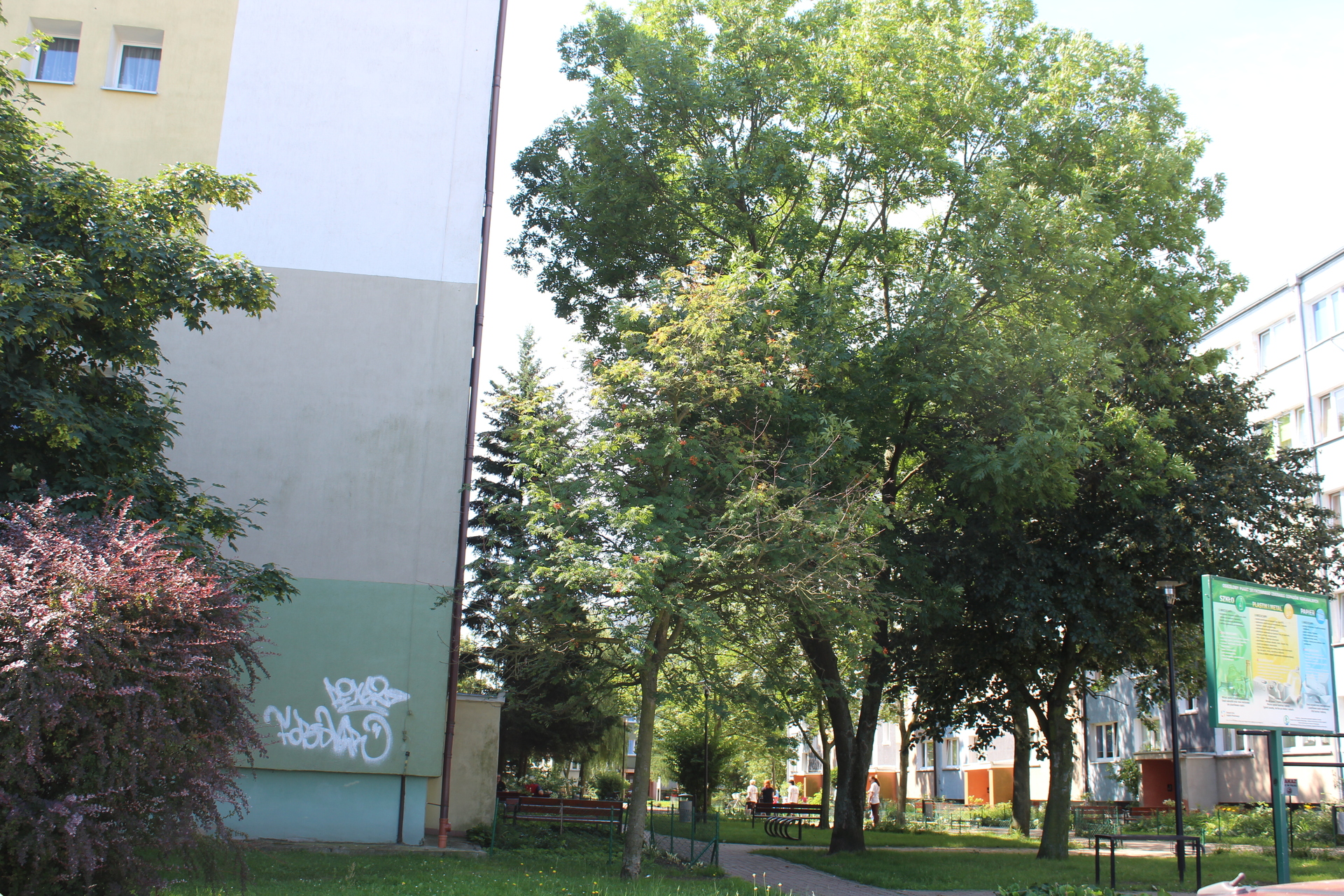 POLKOWICE. Ulica 11 Lutego zmieni nazwę? (WIDEO)