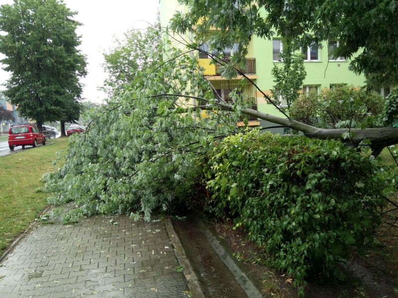 ZŁOTORYJA. Usuwają skutki ulewy