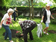 LEGNICA. Seniorzy stworzyli ogród
