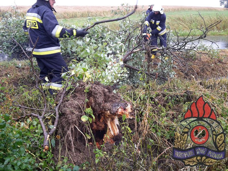 JAWOR. Kilkadziesiąt interwencji straży