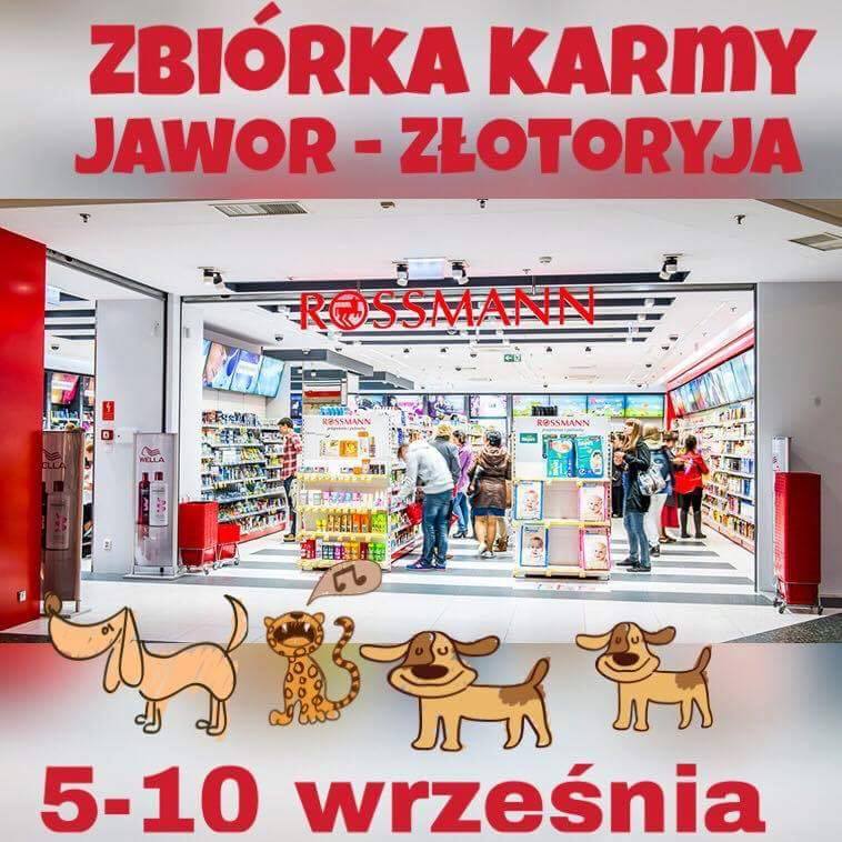 JAWOR/ZŁOTORYJA. Zbiórka karmy dla bezdomnych zwierząt