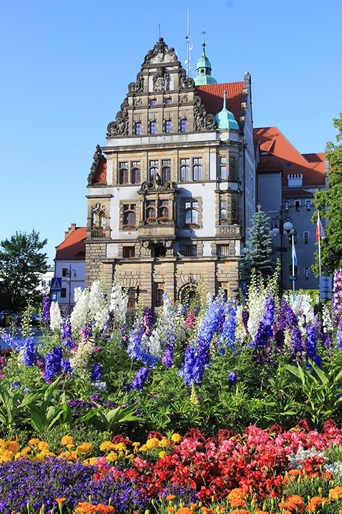 LEGNICA. Konkurs na najpiękniej kwitnące miasto