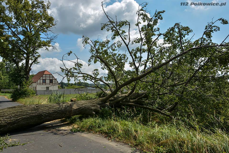 REGION. Nadciąga orkan. Będzie wiało