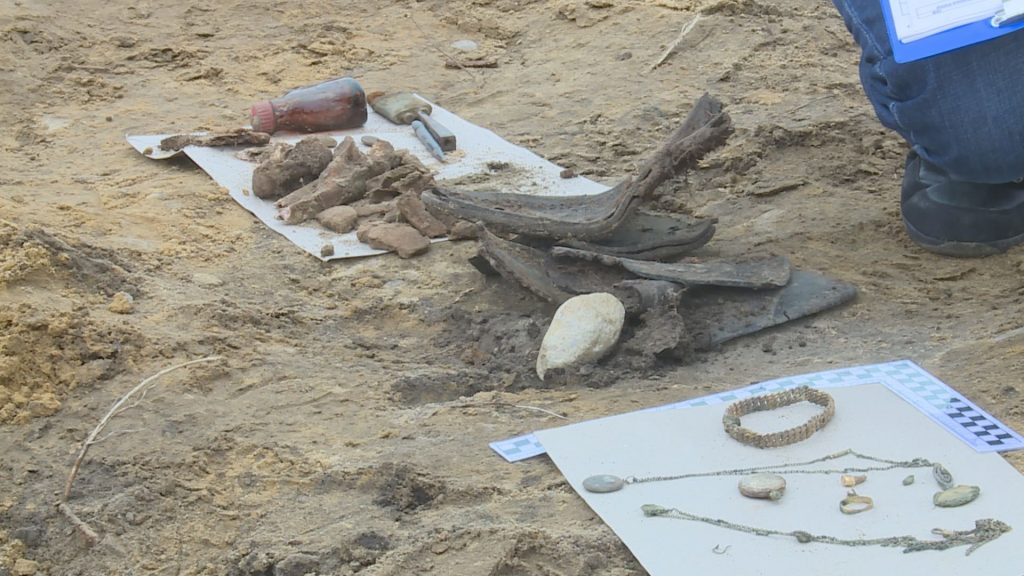 LUBIN. Znaleźli szczątki ludzkie (WIDEO)