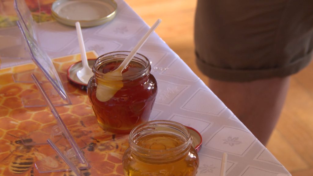 GMINA RUDNA. Miód w roli głównej