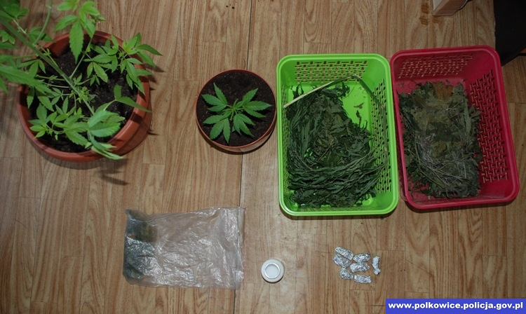 CHOCIANÓW. Zatrzymany za narkotyki