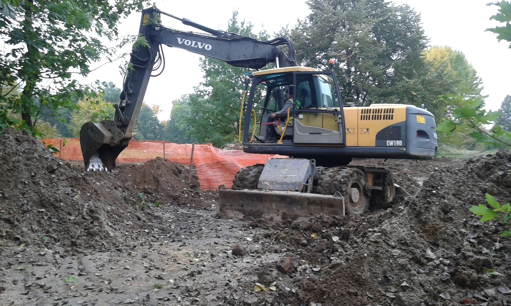 LEGNICA. Piły poszły w ruch (WIDEO)
