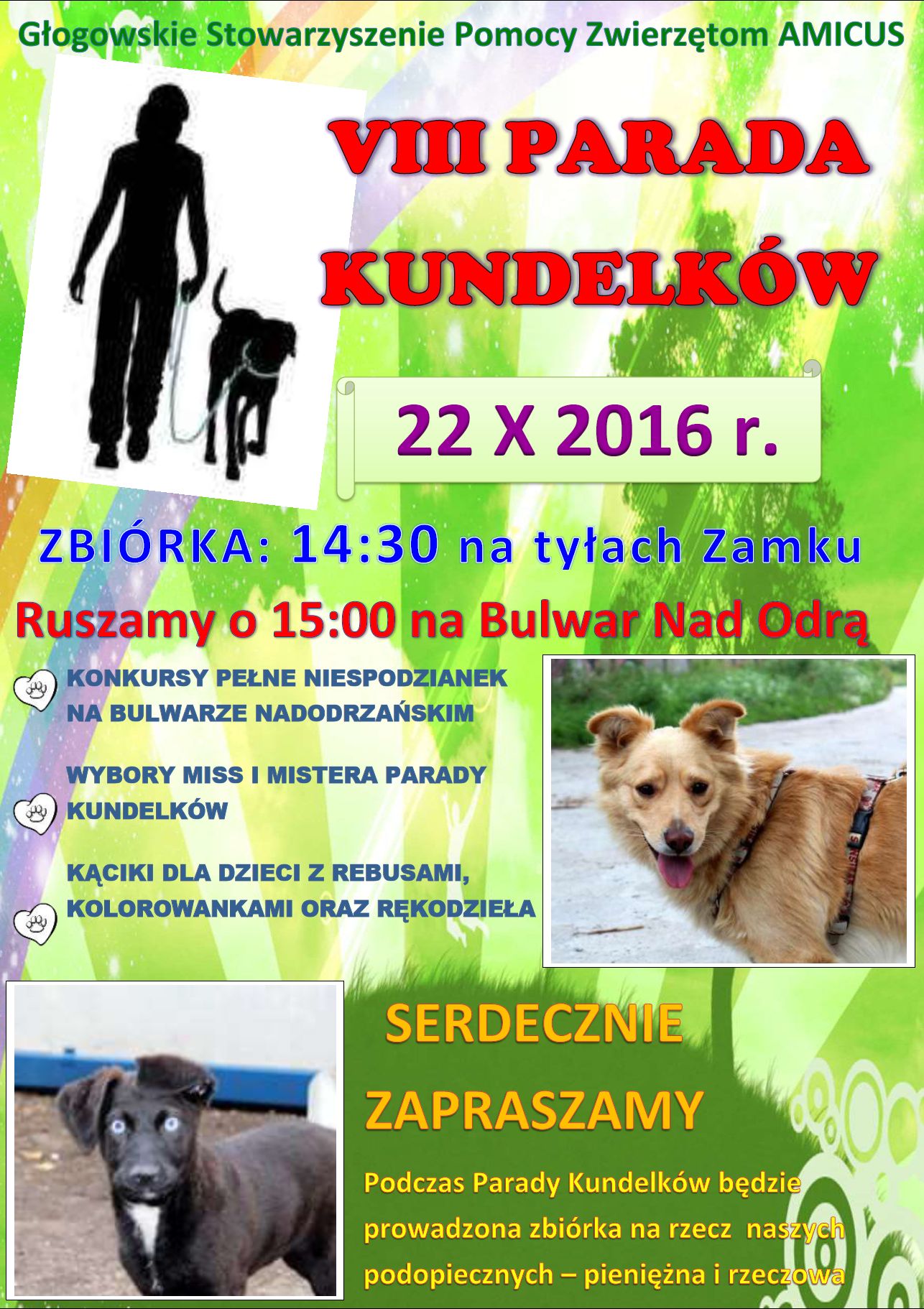 GŁOGÓW. Parada psich piękności