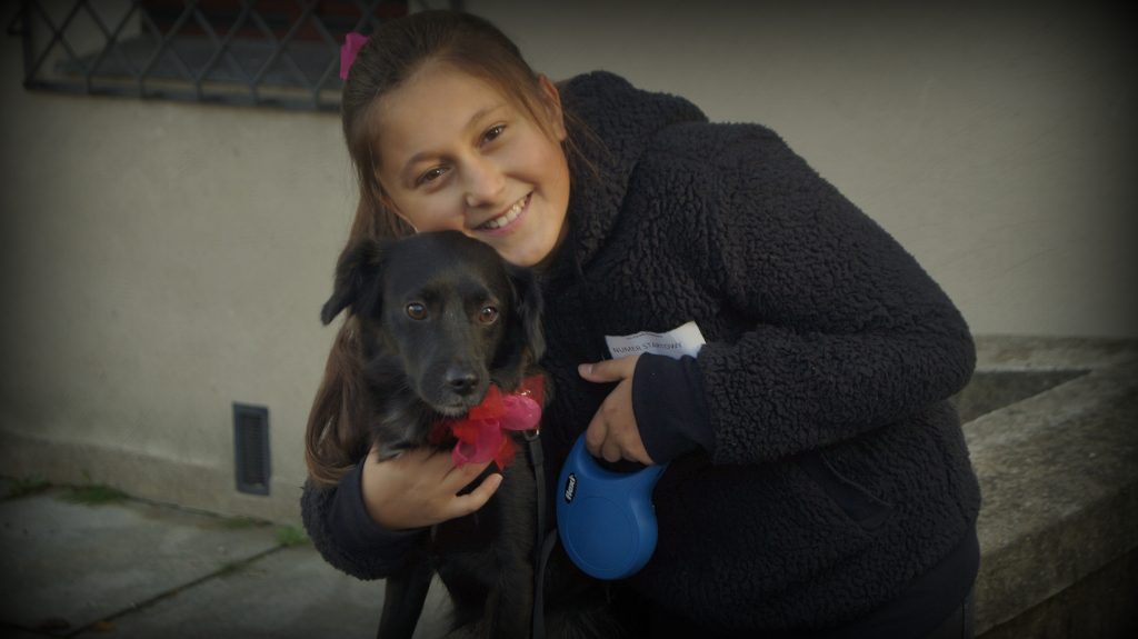 GŁOGÓW. Kundelki zaprezentowały się mieszkańcom