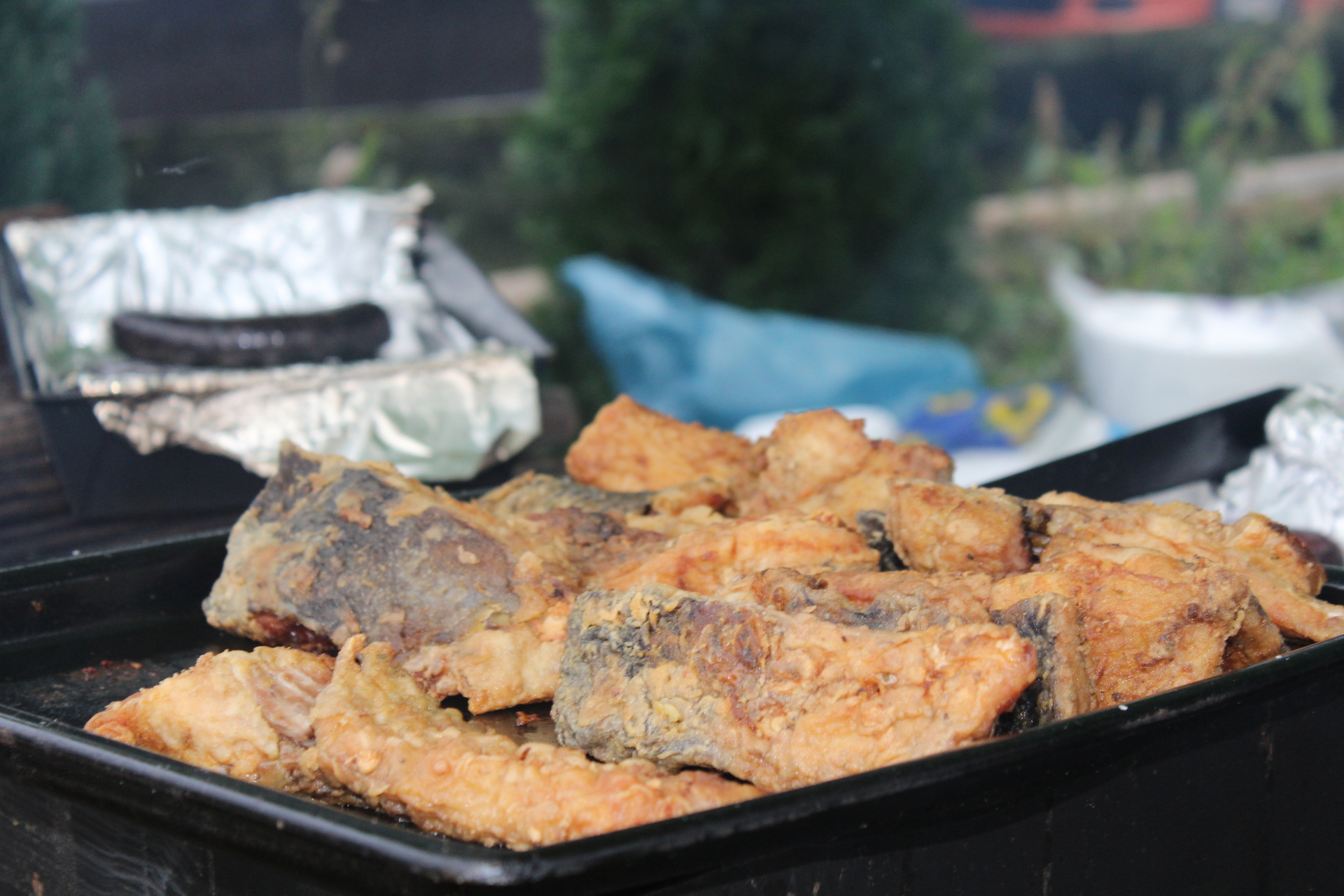 GMINA PRZEMKÓW. Święto Wesołego Karpia (WIDEO, FOTO)