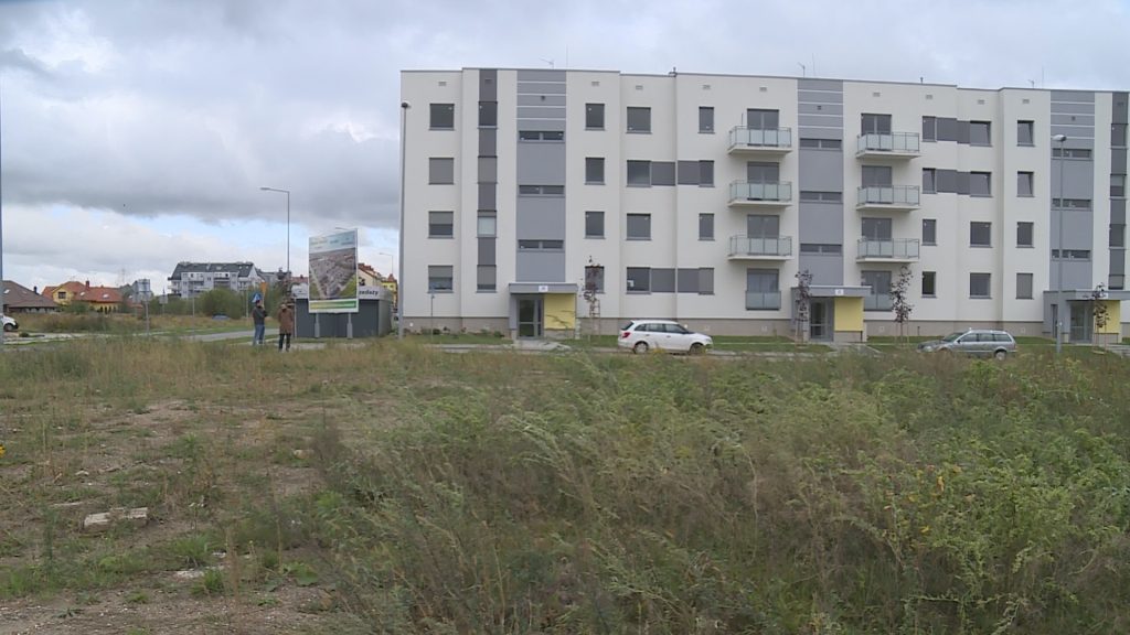 LEGNICA. Beton zamiast zieleni (WIDEO)