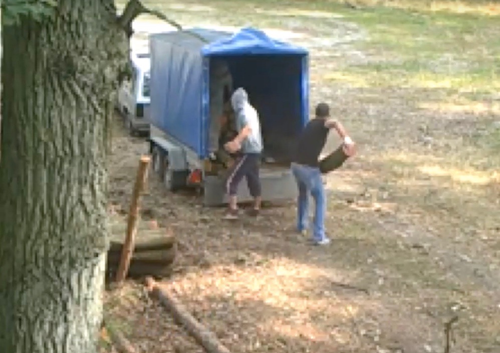 LEGNICA. Wielki brat widzi nawet w lesie. Niestety, głównie – złodziei (WIDEO)