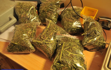 GMINA BOLKÓW. Odpowie za narkotyki i nielegalny tytoń