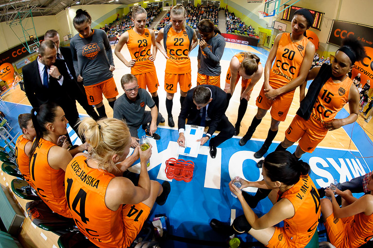 POLKOWICE. Pszczółka użądliła CCC (FOTO)