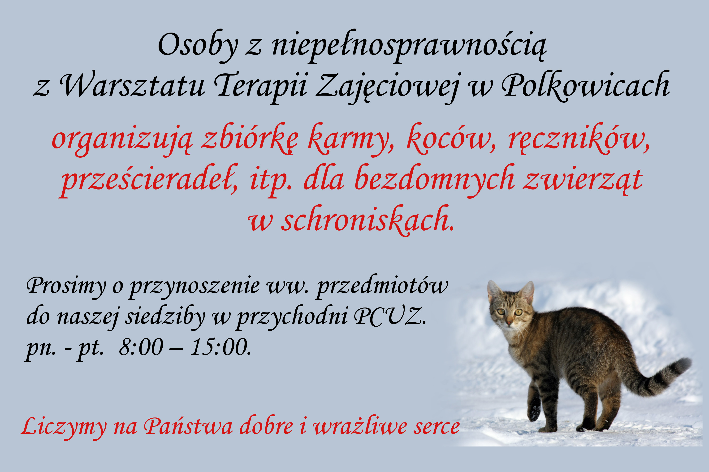 POLKOWICE. Pamiętają o bezdomnych zwierzętach