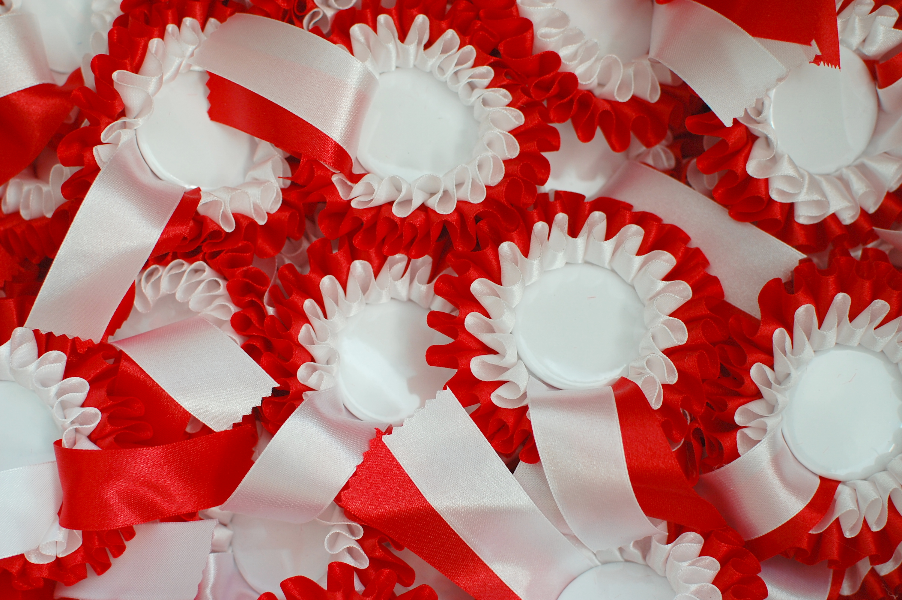 POWIAT POLKOWICKI. Niepodległościowe obchody w Rynku