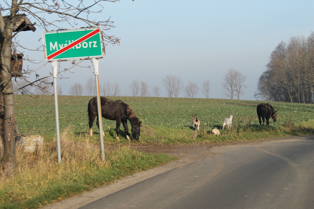 Nauczą, jak pokonać lęk przed pająkiem