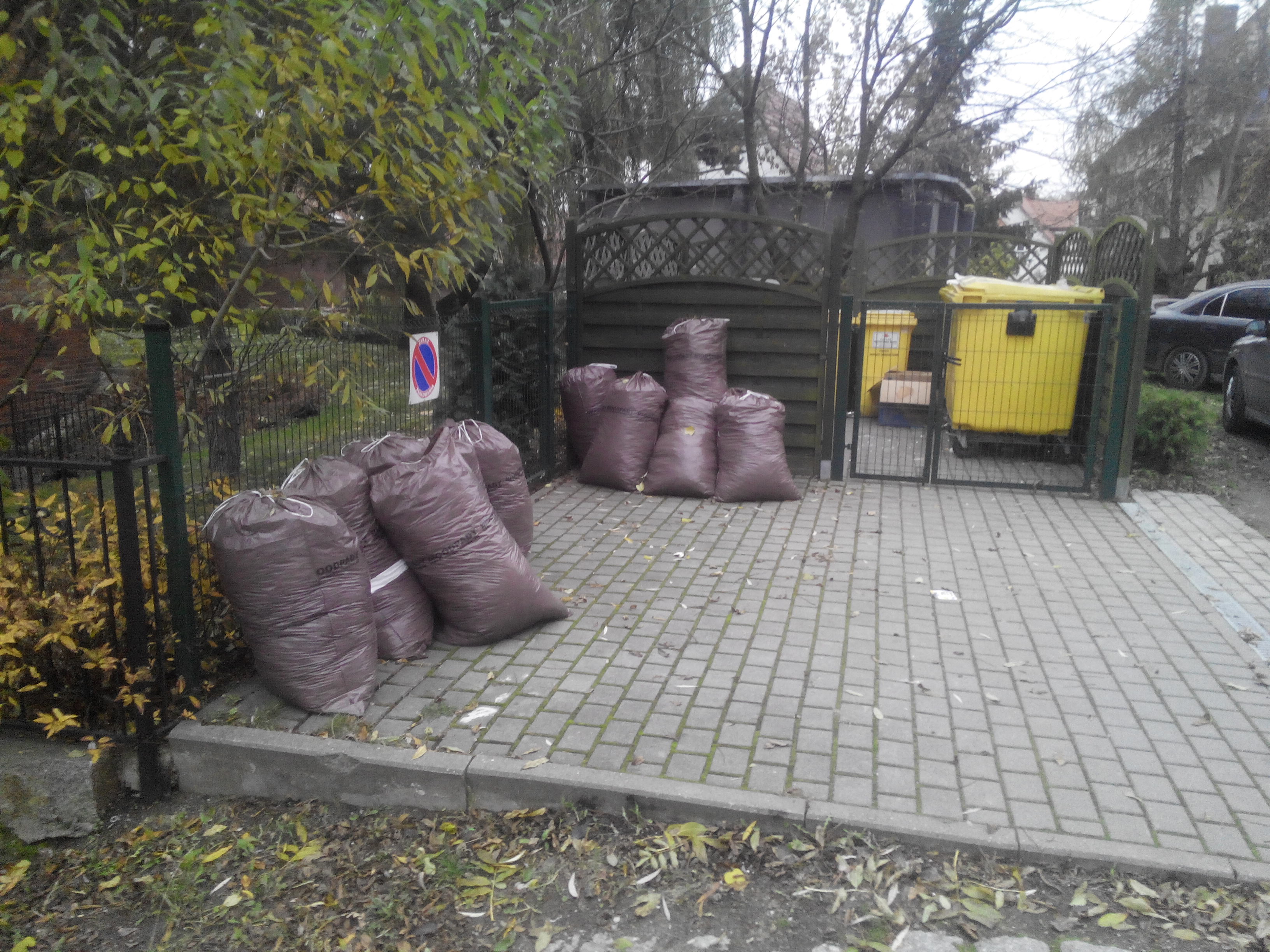 LEGNICA. Druga tura zbiórki liści