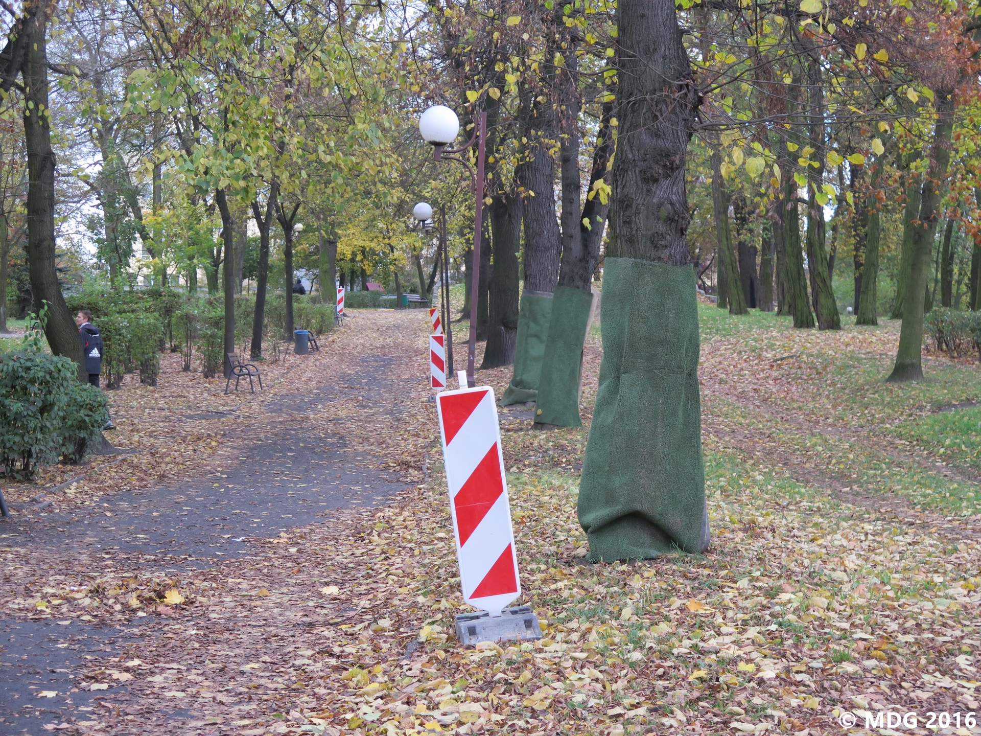 Rozpoczęto prace nad parkiem Militarnym (WIDEO)