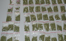 Podczas przeszukania znaleźli narkotyki