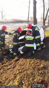 15622446_1827791240798423_2990626809747554830_n