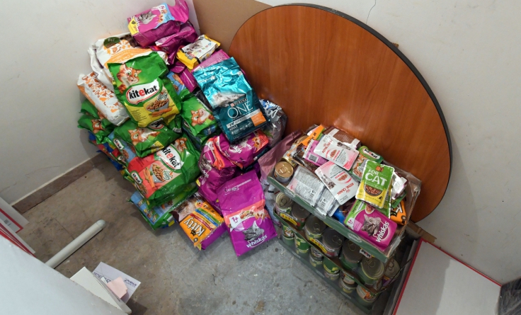 POLKOWICE. Obdarowali czworonogi