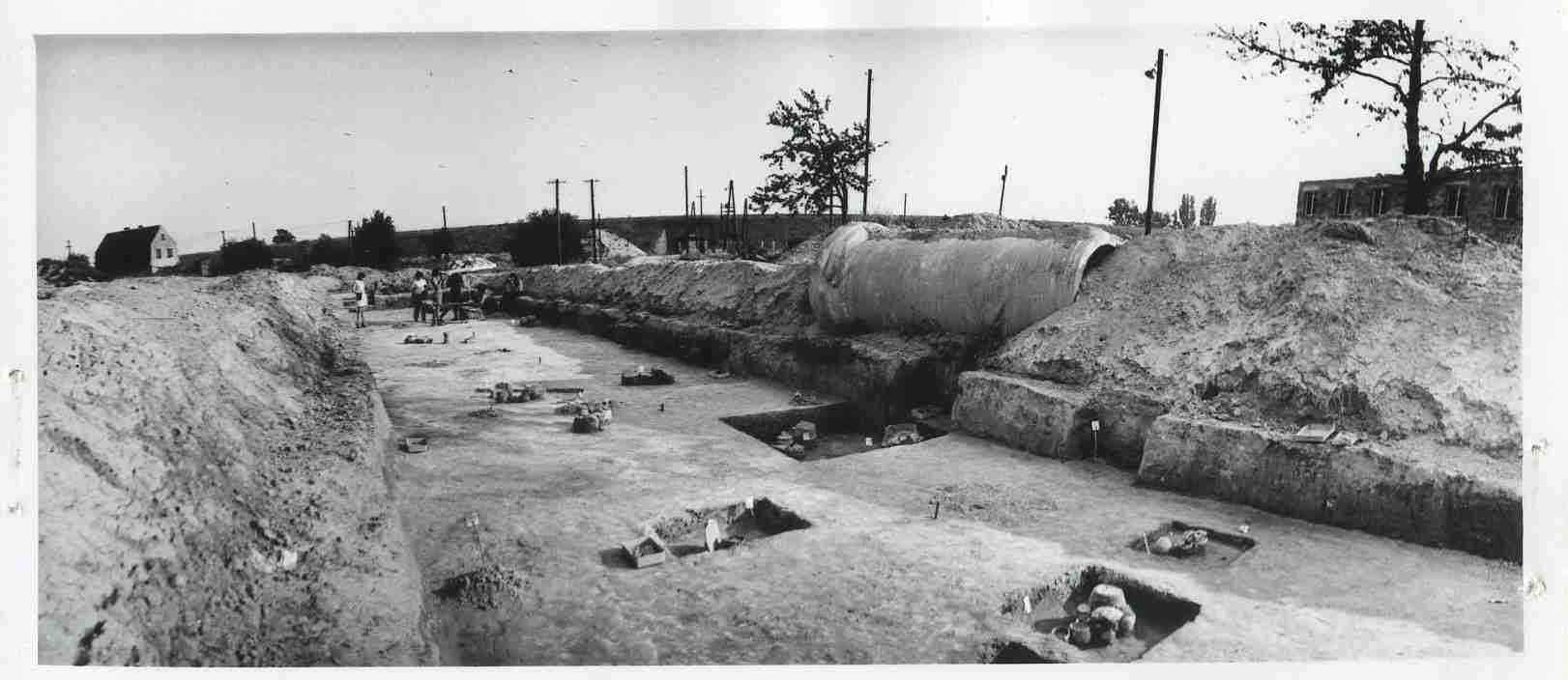 LEGNICA. Gillette sprzed trzech tysięcy lat (WIDEO)