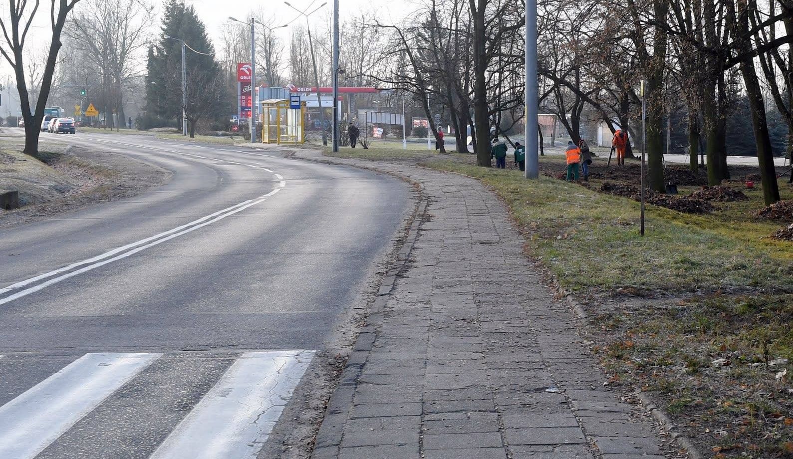 POLKOWICE. Będzie więcej ścieżek rowerowych