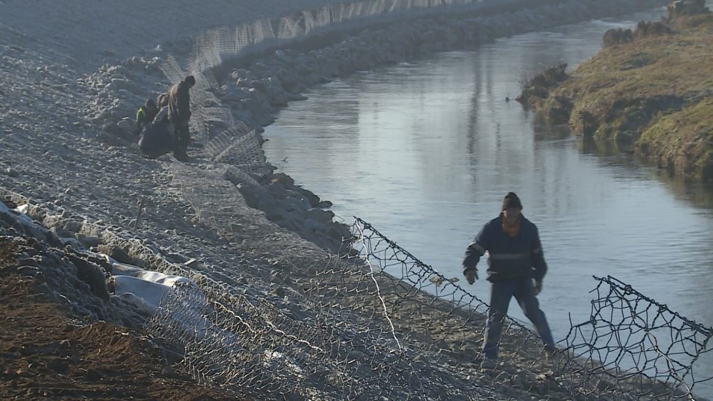 LEGNICA. Bobry zniszczyły wały na Kaczawie? (WIDEO)
