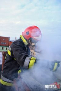 15972593_1840107686233445_8558516904006363026_o