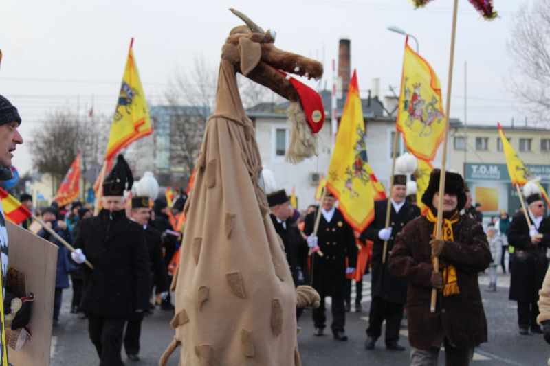Największe jasełka na świecie po raz siódmy w Lubinie