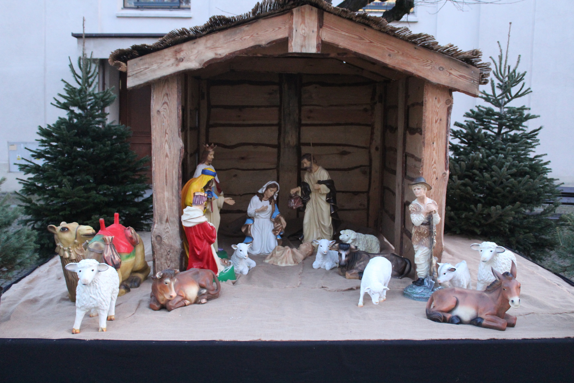 POLKOWICE. Z kolędą szli w orszaku (FOTO)