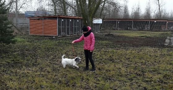 Wolontariusze z „trójki” spisali się na szóstkę