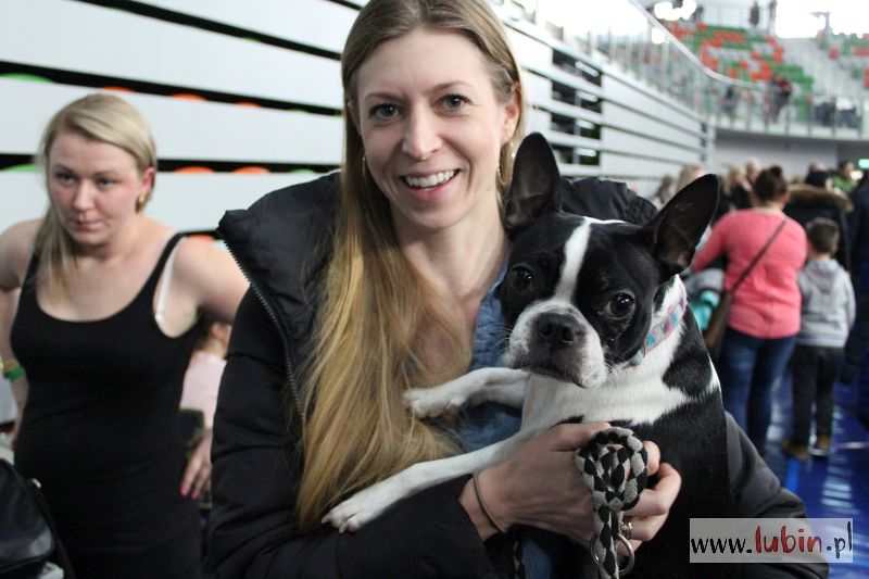 LUBIN. Tysiące merdających ogonów (WIDEO)