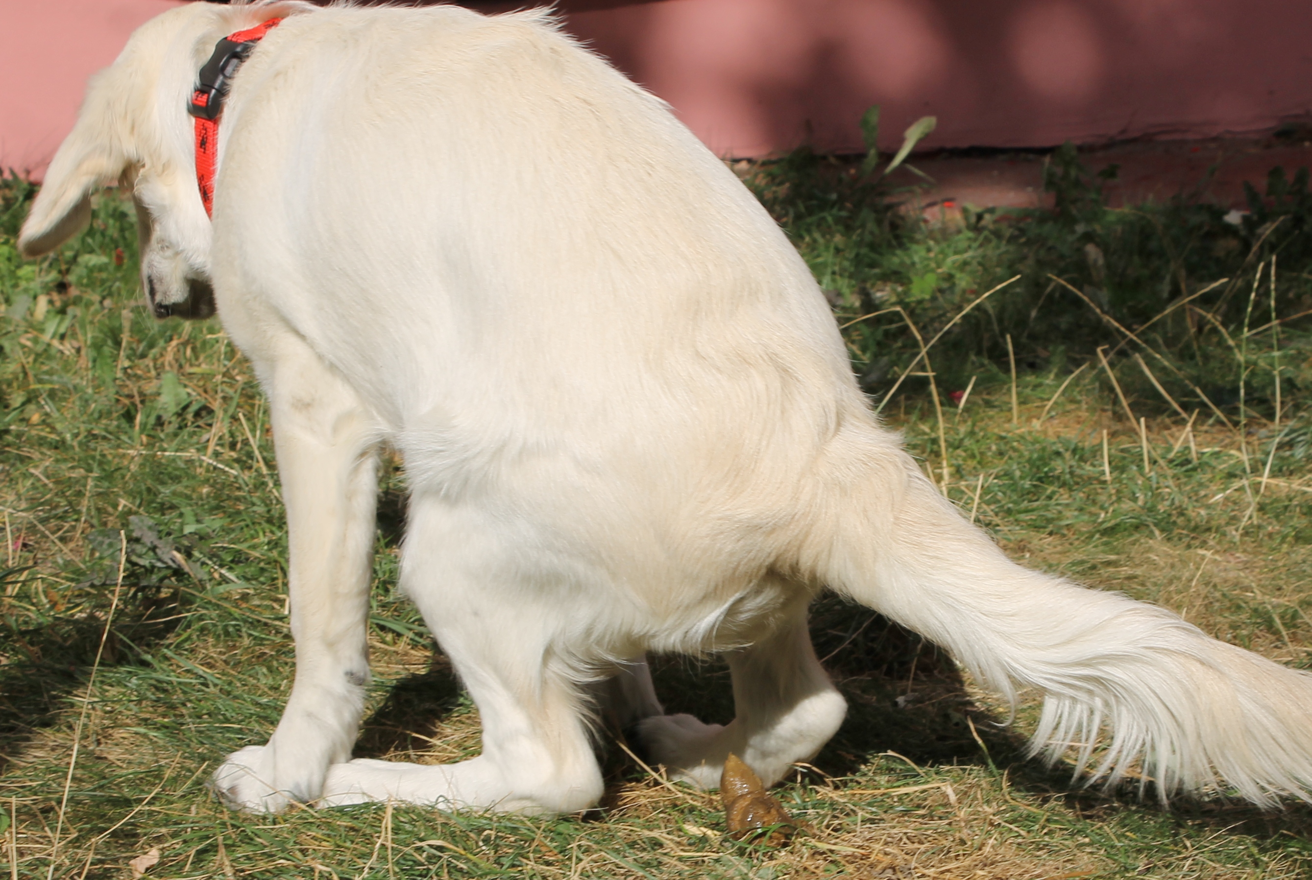 Zafajdane miasto (WIDEO)