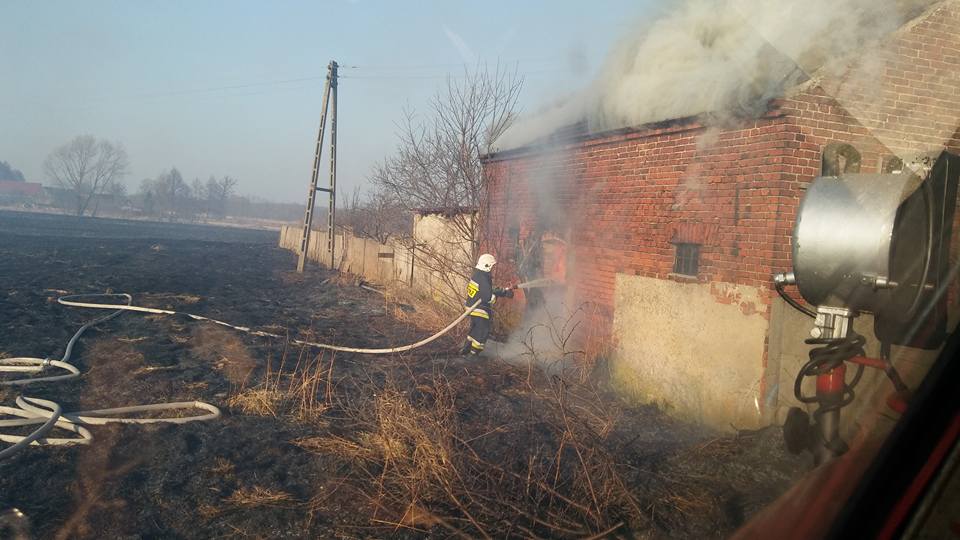Strażacy apelują: Nie wypalać traw!