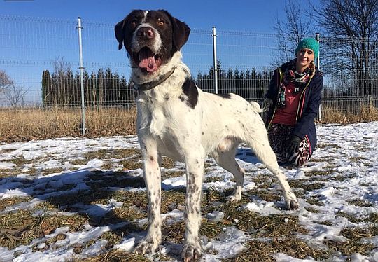 Jaworski TOZ prosi o pomoc