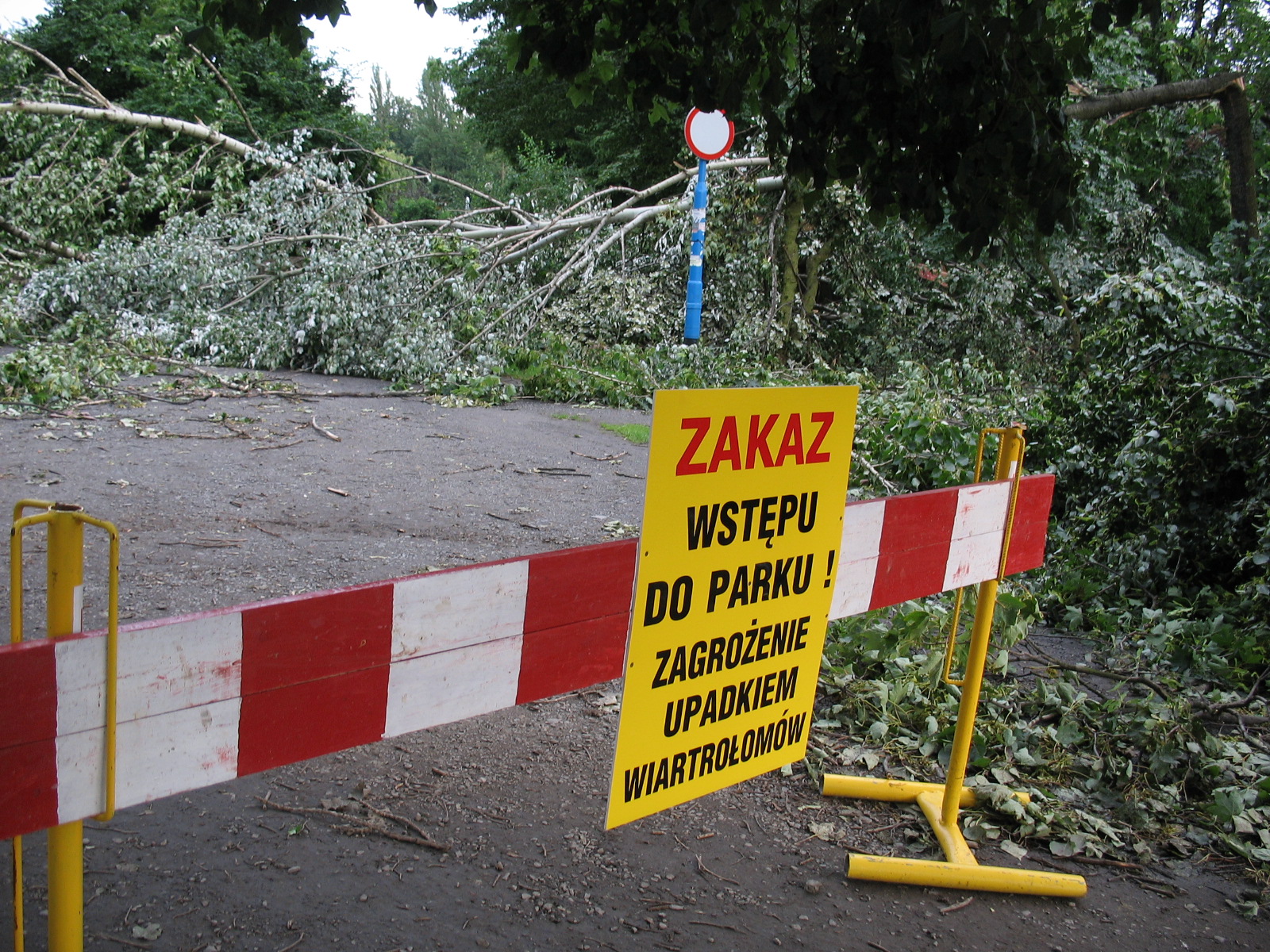Legniczanie przygotowują się na ekstrema pogodowe