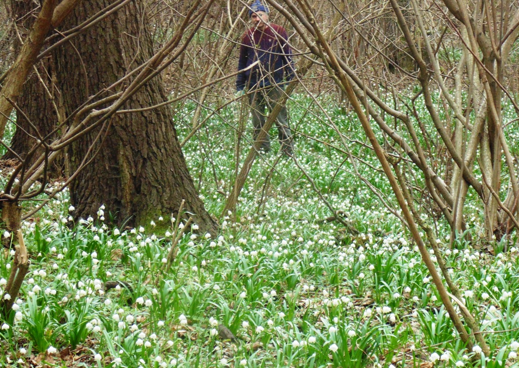 Taki widok obok zbiornika Żelazny Most! (FOTO)