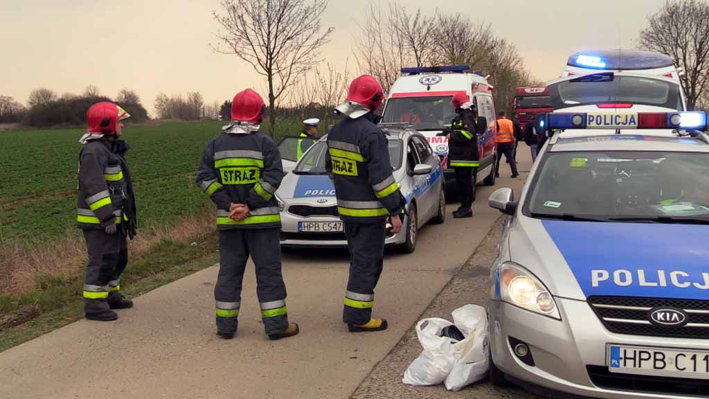 Punto zatrzymało się na drzewie (WIDEO, FOTO)